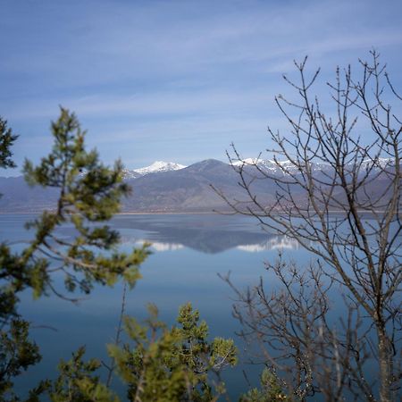Prespes Lake View Family Apartment Florina Bagian luar foto